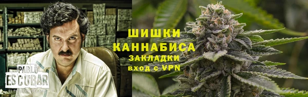 2c-b Богородицк
